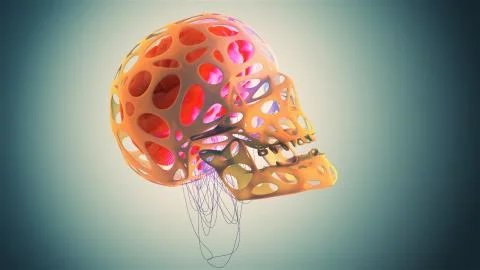3D rendering of human skull with brain and nerves Stock Illustration