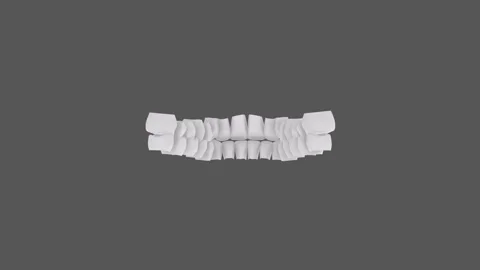 3D rendering of human teeth with detailed dental structure Stock Footage 285060372