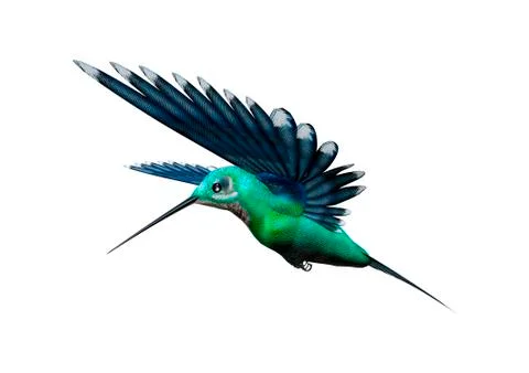 3D Rendering Humming Bird on White Stock Illustration