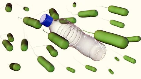 A 3d rendering of Ideonella sakaiensis Stock Illustration