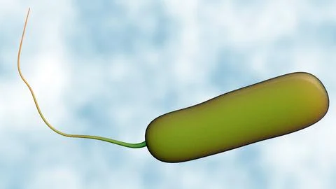 A 3d rendering of Ideonella sakaiensis Stock Illustration