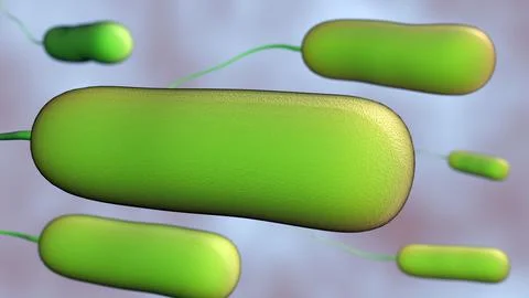 A 3d rendering of Ideonella sakaiensis Stock Illustration