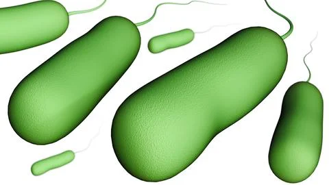 A 3d rendering of Ideonella sakaiensis Stock Illustration