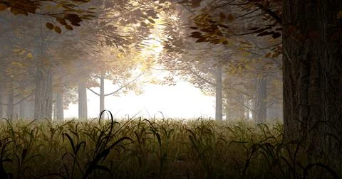 3d rendering. Illustration of autumn forest in sunlight and mist. Stock Illustration
