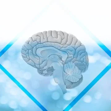 3D rendering. Illustration, graphic brighty brain with light elements, space  스톡 사진