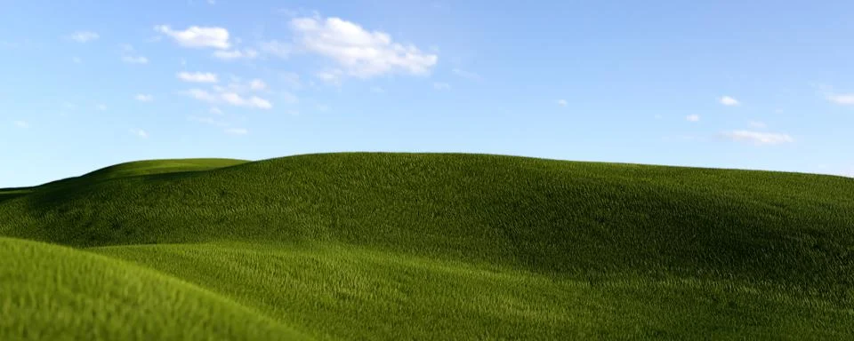 3d rendering image of a green field of grass and a bright blue sky. 스톡 일러스트