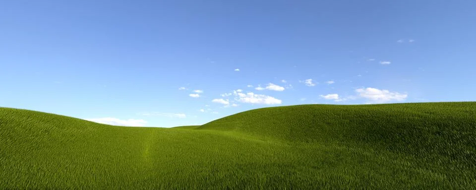 3d rendering image of a green field of grass and a bright blue sky. 스톡 일러스트
