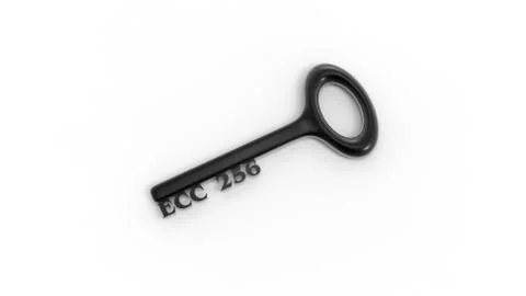 3d rendering of key with encrypted method with white background Stock Illustration
