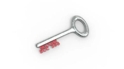 3d rendering of key with encrypted method with white background Stock Illustration