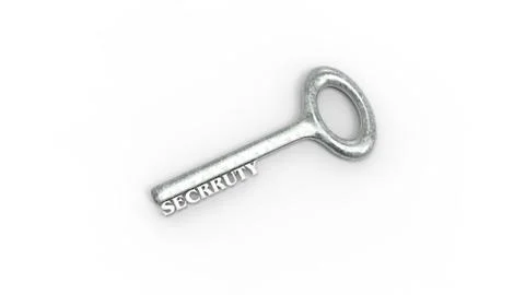3d rendering of key with encrypted method with white background Illustrazione stock