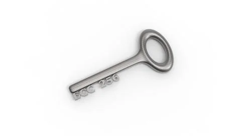 3d rendering of key with encrypted method with white background Illustrazione stock