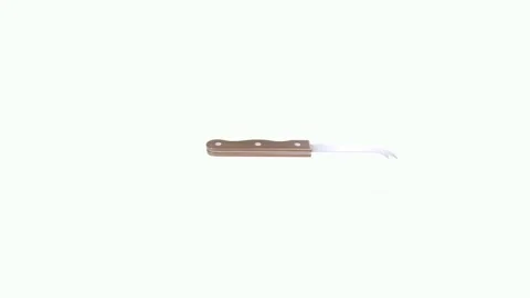 3D rendering of a knife with a wooden handle and curved blade 스톡 동영상 303859679