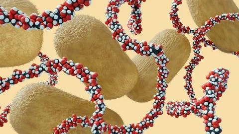 A 3d rendering of Komagataeibacter hansenii and cellulose fiber Stock Illustration