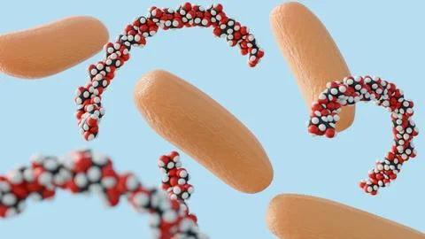 A 3d rendering of Komagataeibacter hansenii and cellulose fiber Stock Illustration