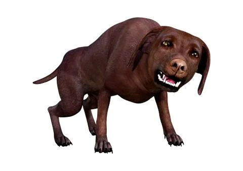 3D Rendering Labrador Dog on White Stock Illustration