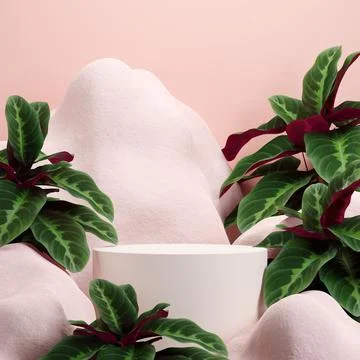 3d rendering of leaves with a pink background and rocks Illustrazione stock