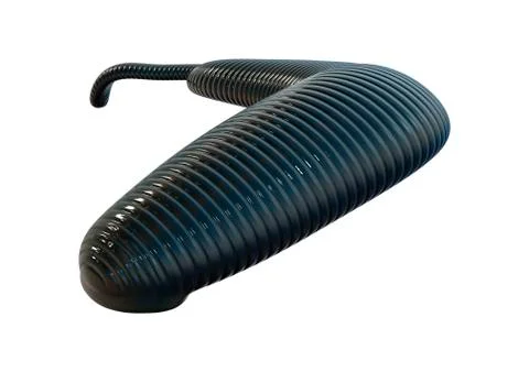 3D Rendering Leech on White Stock Illustration