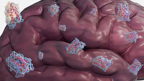 A 3d rendering of leptin molecules and human brain Stock Illustration