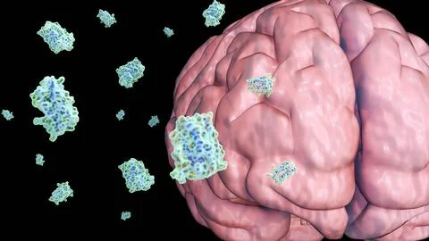 A 3d rendering of leptin molecules and human brain Stock Illustration