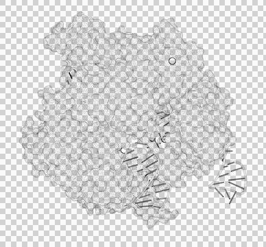 3D rendering as a line drawing of a biological molecule. Stock Illustration