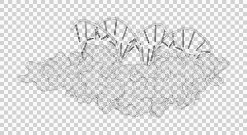 3D rendering as a line drawing of a biological molecule. Stock Illustration
