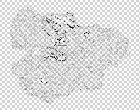 3D rendering as a line drawing of a biological molecule. Stock Illustration