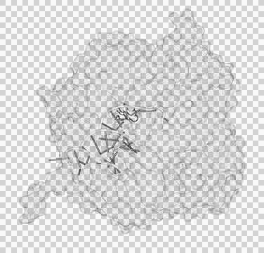 3D rendering as a line drawing of a biological molecule. Stock Illustration