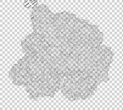 3D rendering as a line drawing of a biological molecule. Stock Illustration