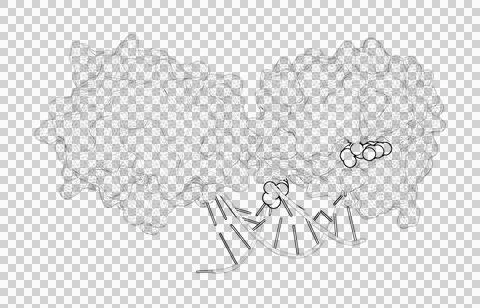 3D rendering as a line drawing of a biological molecule. Stock Illustration