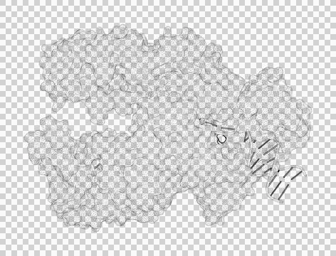 3D rendering as a line drawing of a biological molecule. Stock Illustration