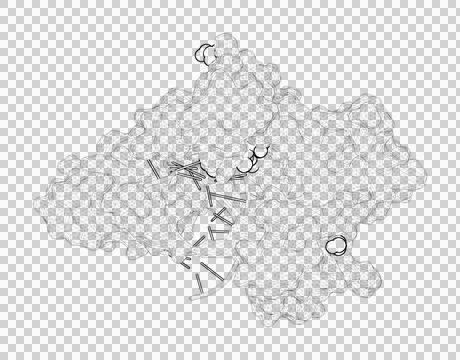 3D rendering as a line drawing of a biological molecule. Stock Illustration