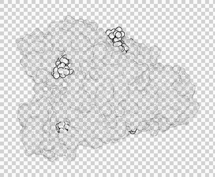 3D rendering as a line drawing of a biological molecule. Stock Illustration