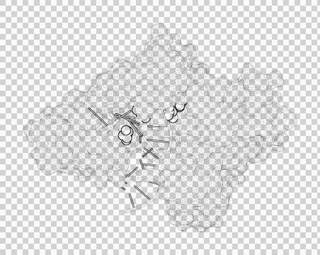 3D rendering as a line drawing of a biological molecule. Stock Illustration