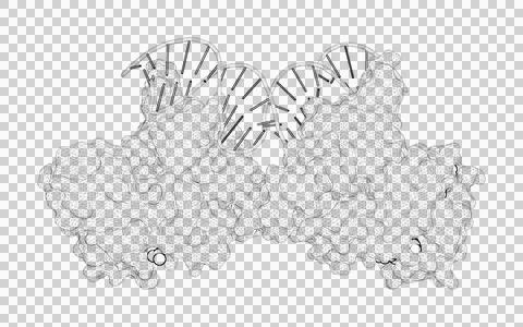 3D rendering as a line drawing of a biological molecule. Stock Illustration