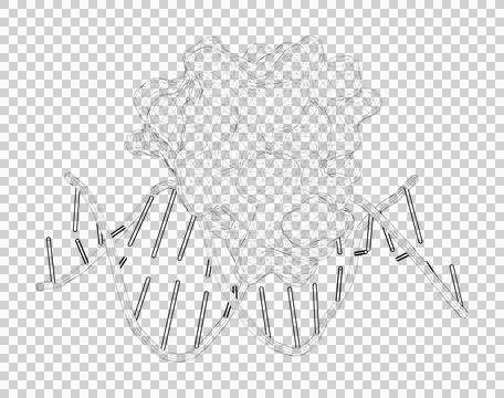 3D rendering as a line drawing of a biological molecule. Stock Illustration