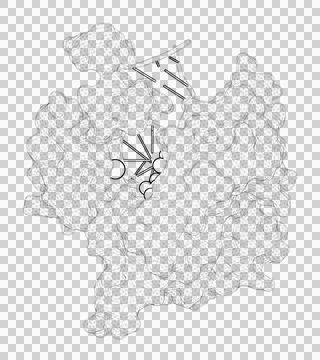 3D rendering as a line drawing of a biological molecule. Stock Illustration