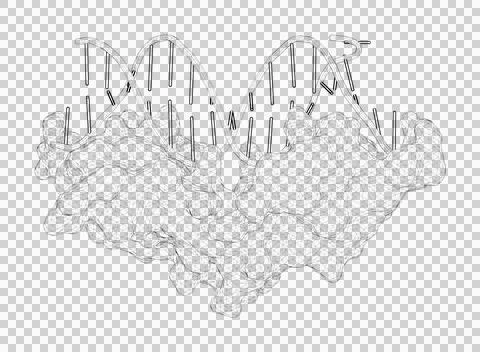 3D rendering as a line drawing of a biological molecule. Stock Illustration