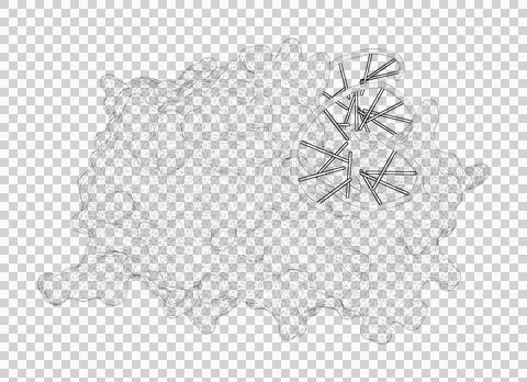 3D rendering as a line drawing of a biological molecule. Stock Illustration