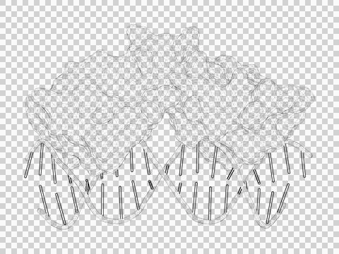 3D rendering as a line drawing of a biological molecule. Stock Illustration