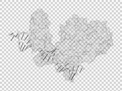 3D rendering as a line drawing of a biological molecule. Stock Illustration