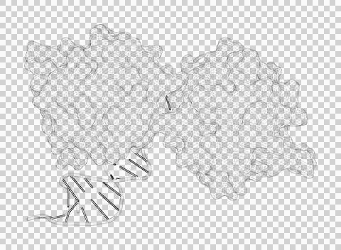 3D rendering as a line drawing of a biological molecule. Stock Illustration