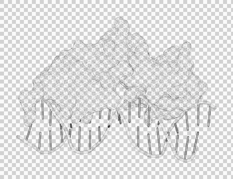 3D rendering as a line drawing of a biological molecule. Stock Illustration