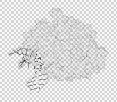 3D rendering as a line drawing of a biological molecule. Stock Illustration