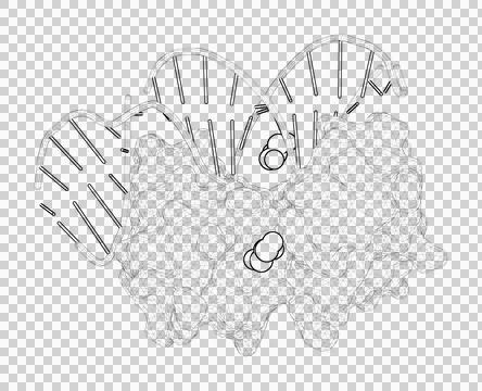 3D rendering as a line drawing of a biological molecule. Stock Illustration