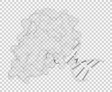 3D rendering as a line drawing of a biological molecule. Stock Illustration