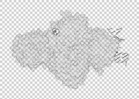 3D rendering as a line drawing of a biological molecule. Stock Illustration