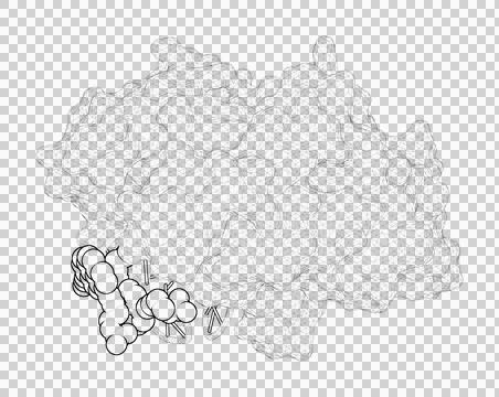 3D rendering as a line drawing of a biological molecule. Stock Illustration