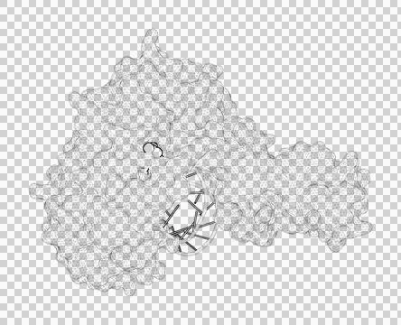 3D rendering as a line drawing of a biological molecule. Stock Illustration