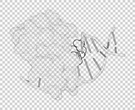 3D rendering as a line drawing of a biological molecule. Stock Illustration