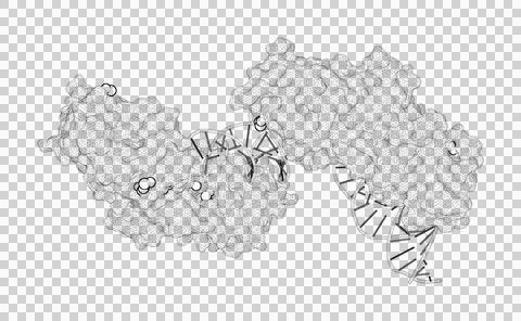 3D rendering as a line drawing of a biological molecule. Stock Illustration